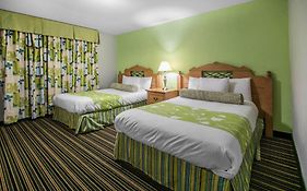 Rodeway Inn & Suites Winter Haven Chain Of Lakes